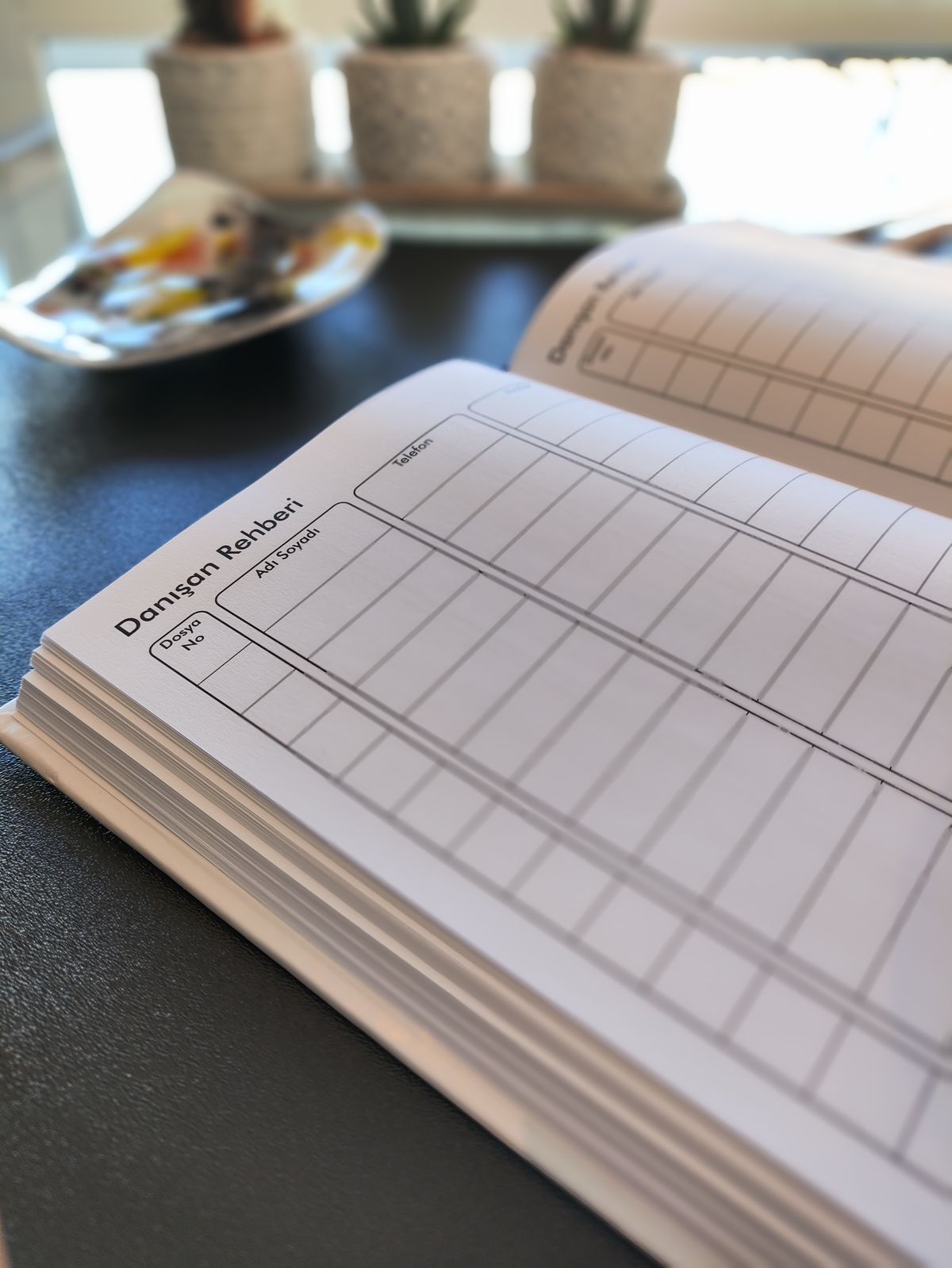 Terapist Ajandası - Görsel 3